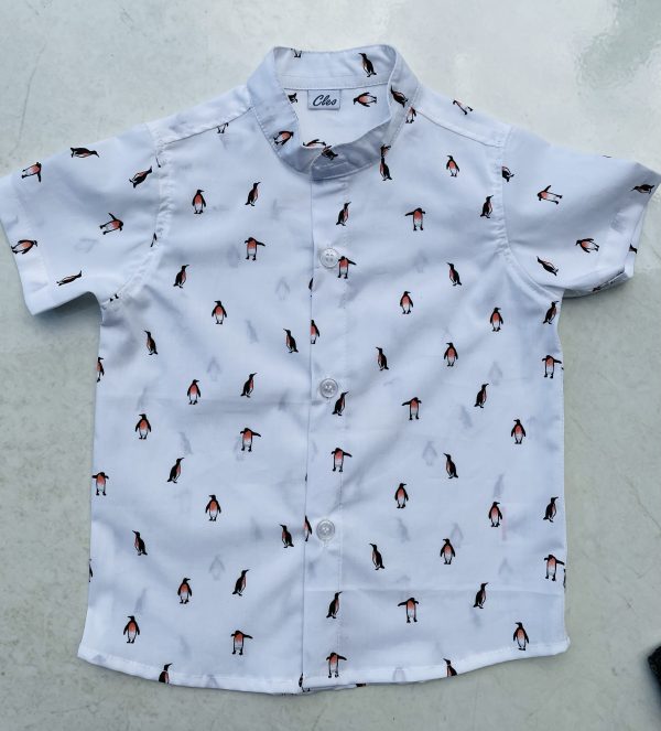 Boys Shirt